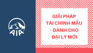 GIẢI PHÁP TÀI CHÍNH MẪU – DÀNH CHO ĐẠI LÝ MỚI