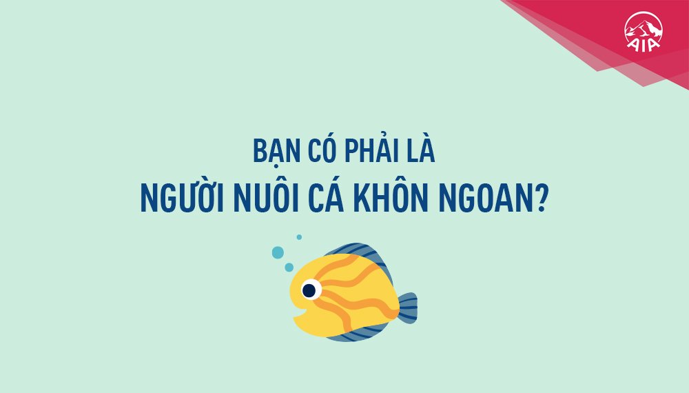 Ý TƯỞNG BÁN HÀNG KỲ 13: BẠN CÓ PHẢI LÀ NGƯỜI NUÔI CÁ KHÔN NGOAN?